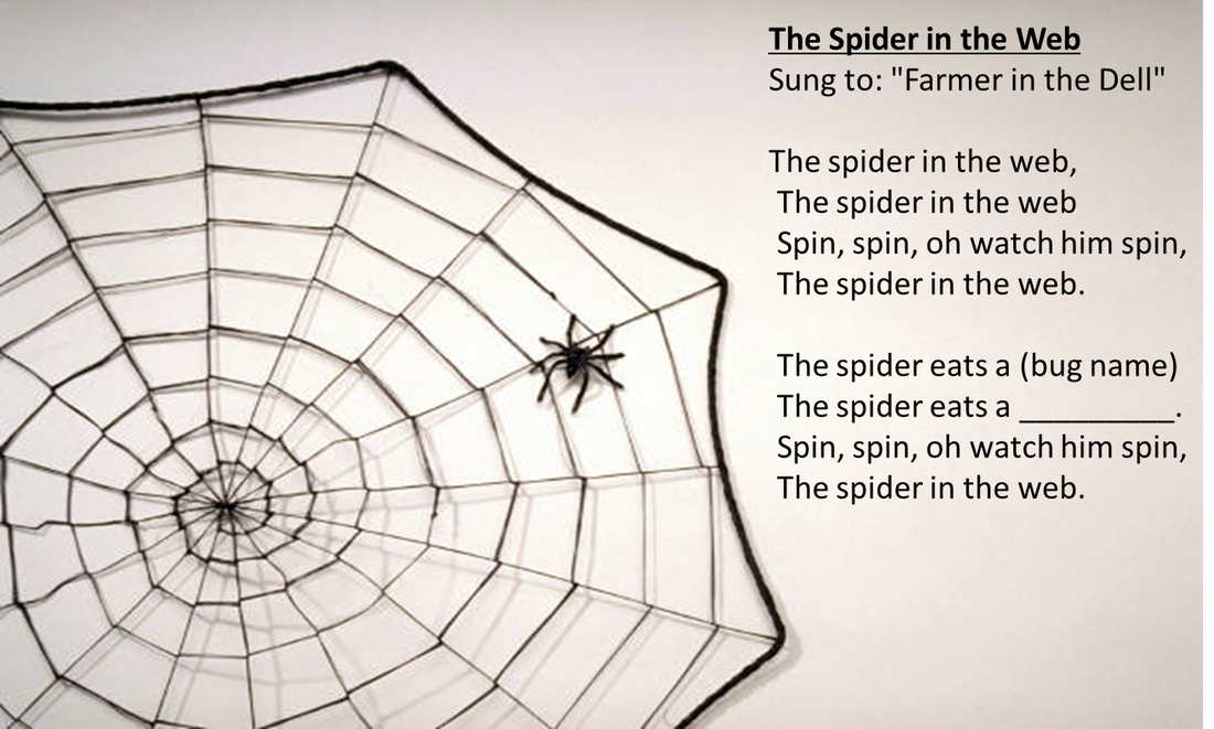 Spiders - Child Care Training