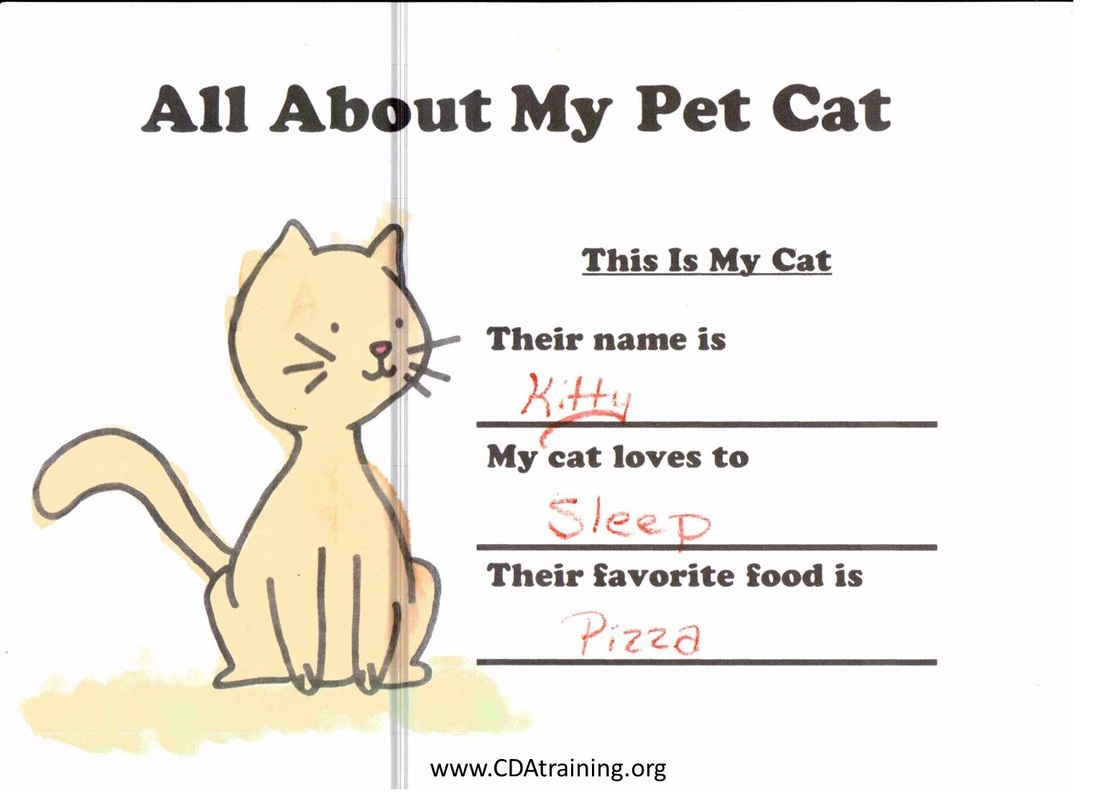 about my pet cat